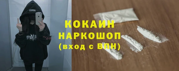 сатива Балахна