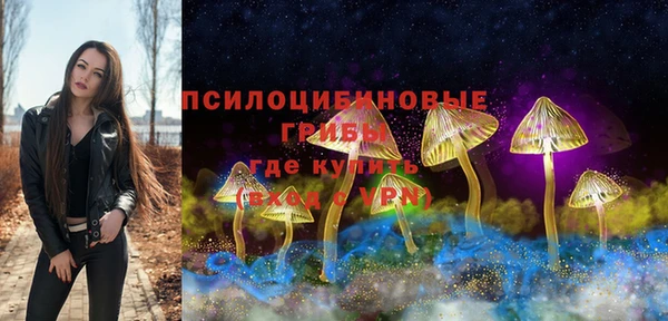 сатива Балахна