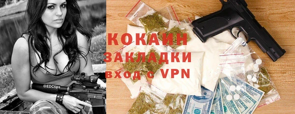 сатива Балахна