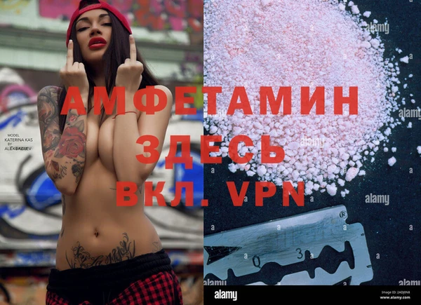 сатива Балахна