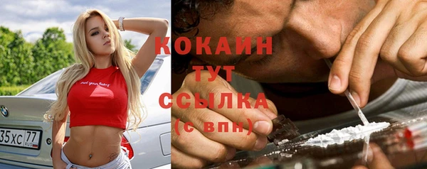 шишки Балабаново
